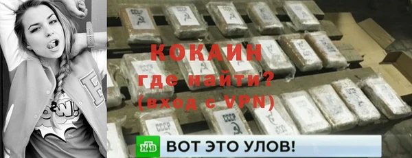 сатива Богородицк