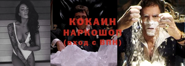 сатива Богородицк