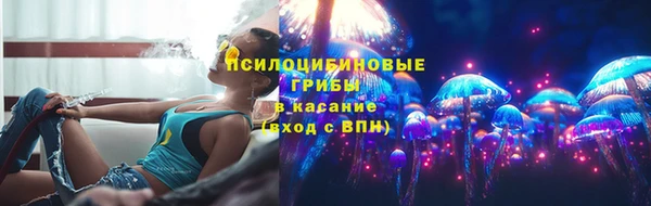 сатива Богородицк