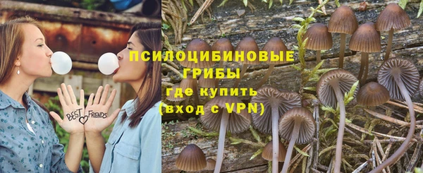 2c-b Богданович