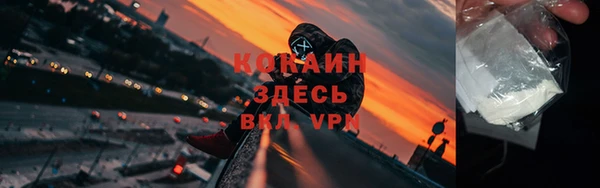 сатива Богородицк