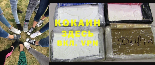 сатива Богородицк