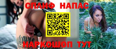 гидропоника Дубна