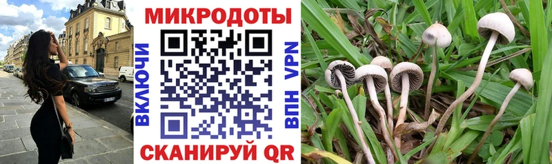 Псилоцибиновые грибы прущие грибы  Надым 