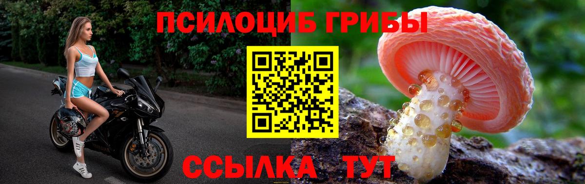 Надым  Псилоцибиновые грибы Magic Shrooms  Вход с VPN 